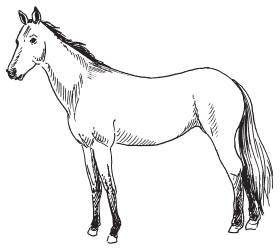 Полная энциклопедия фермера - i_087.png