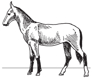 Полная энциклопедия фермера - i_088.png