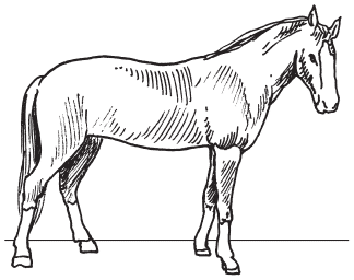 Полная энциклопедия фермера - i_089.png