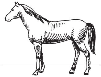 Полная энциклопедия фермера - i_090.png