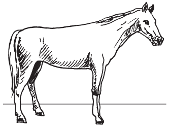 Полная энциклопедия фермера - i_091.png