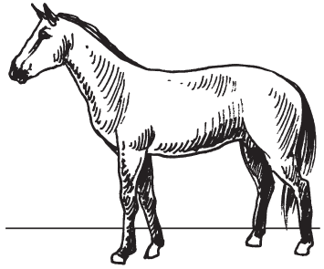 Полная энциклопедия фермера - i_092.png