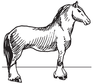 Полная энциклопедия фермера - i_093.png