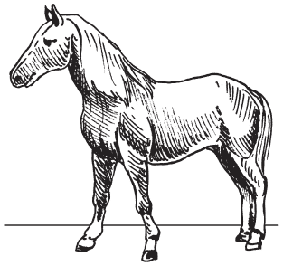 Полная энциклопедия фермера - i_094.png