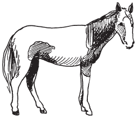 Полная энциклопедия фермера - i_095.png