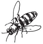 Полная энциклопедия фермера - i_099.png