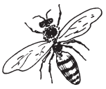 Полная энциклопедия фермера - i_102.png