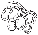 Полная энциклопедия фермера - i_121.png