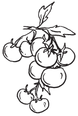 Полная энциклопедия фермера - i_122.png