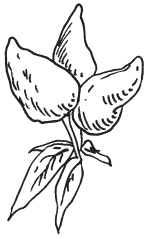 Полная энциклопедия фермера - i_140.png