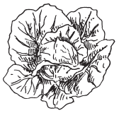 Полная энциклопедия фермера - i_141.png