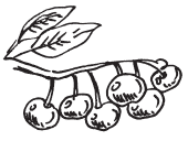 Полная энциклопедия фермера - i_157.png