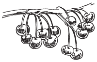 Полная энциклопедия фермера - i_159.png