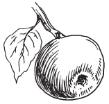 Полная энциклопедия фермера - i_164.png