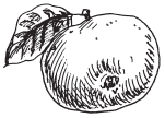 Полная энциклопедия фермера - i_166.png