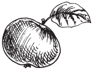Полная энциклопедия фермера - i_167.png