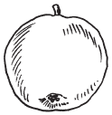 Полная энциклопедия фермера - i_170.png