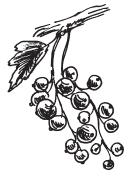Полная энциклопедия фермера - i_184.png
