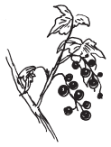 Полная энциклопедия фермера - i_186.png