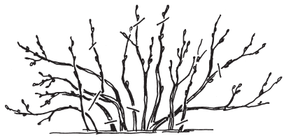 Полная энциклопедия фермера - i_191.png