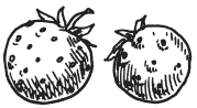 Полная энциклопедия фермера - i_192.png