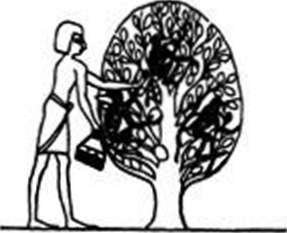 Древние изобретения - _185.jpg