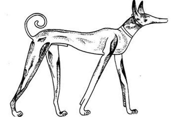 Древние изобретения - _214.jpg