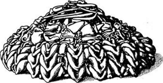 Древние изобретения - _213.jpg