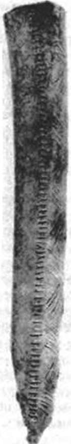 Древние изобретения - _245.jpg