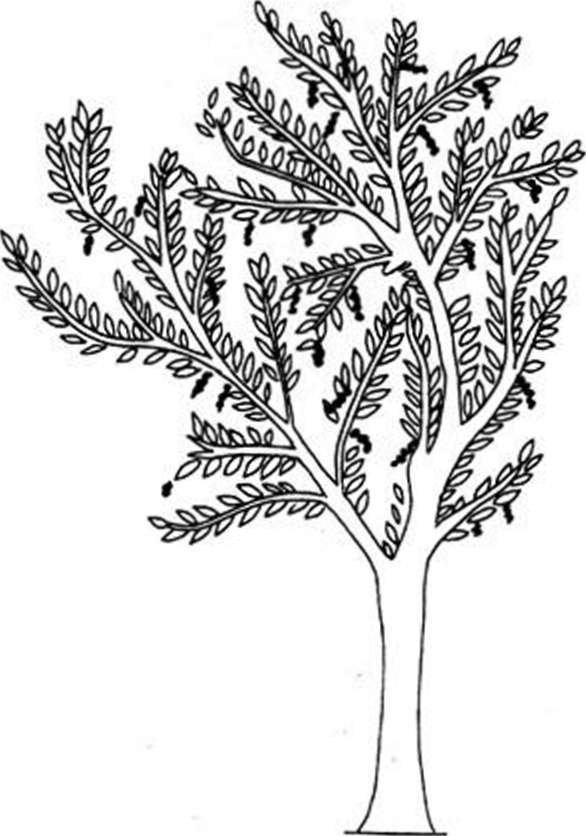 Древние изобретения - _96.jpg