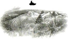 За золотом Нестора Махна - i_042.jpg