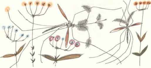 Коапп! коапп! коапп! вып. 6. - i_056.jpg