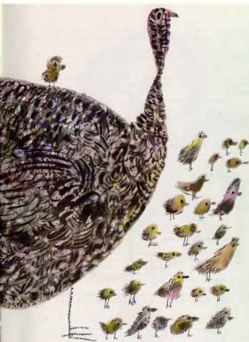 Коапп! коапп! коапп! выпуск 3 - i_025.jpg