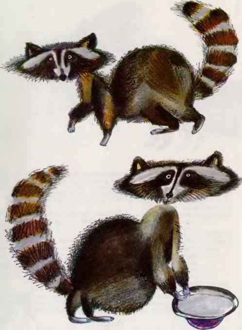 Коапп! коапп! коапп! выпуск 3 - i_065.jpg