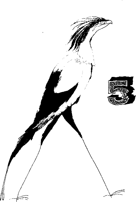 КОАПП! КОАПП! КОАПП! Репортаж о событиях невероятных. Вып. 5 - i_001.png