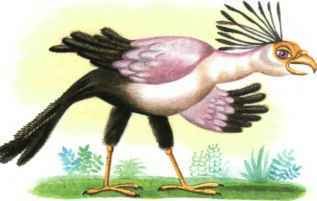 Коапп! спасите наши уши! - i_018.jpg