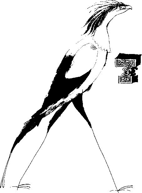 КОАПП! КОАПП! КОАПП! Репортаж о событиях невероятных. Вып. 7 - i_001.png