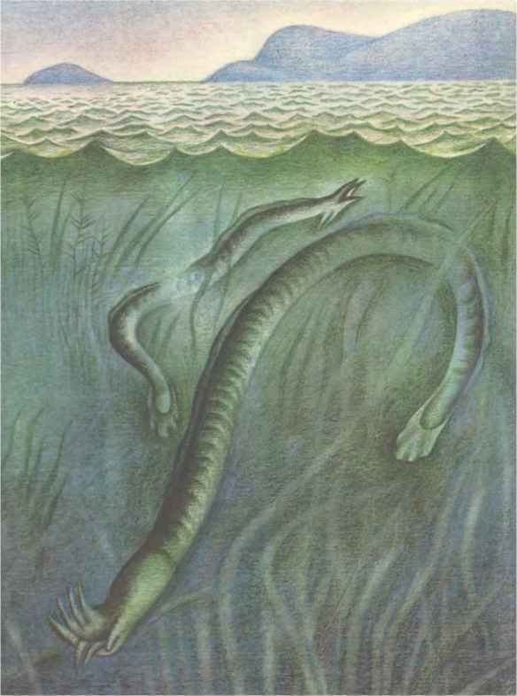 Коапп! коапп! коапп! вып. 8 - i_061.jpg