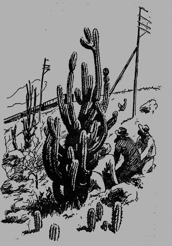 Тайной владеет пеон - _22.png