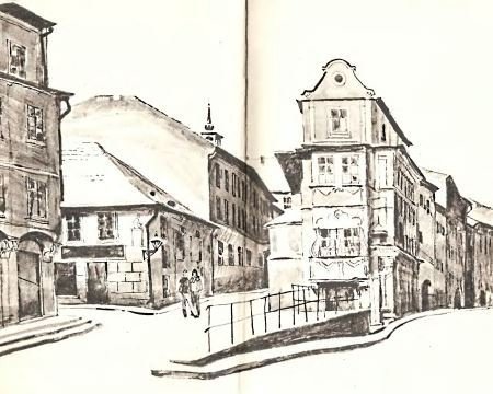 Птицы меня не обгонят - i_011.jpg