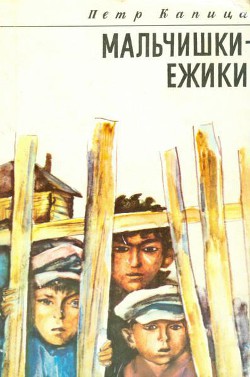 Книга Мальчишки-ежики