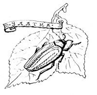 Хочу все знать 1970 - _081_Zlatka.jpg