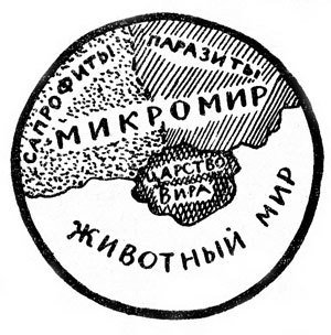 Хочу все знать 1970 - _103_Mikromir.jpg