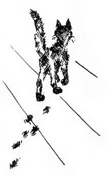 Хочу все знать 1970 - _257_Black_steps.jpg