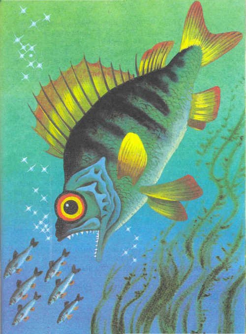 Сказки народов Севера  - _103.jpg