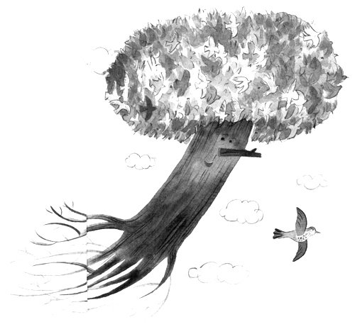 Барсук с нашего двора - i_011.jpg