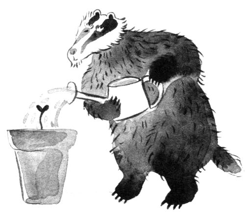 Барсук с нашего двора - i_012.jpg