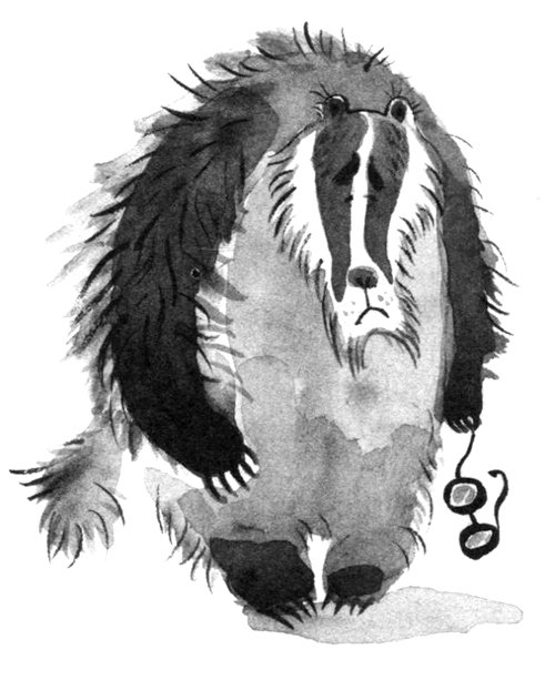 Барсук с нашего двора - i_018.jpg