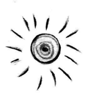 Барсук с нашего двора - i_019.jpg