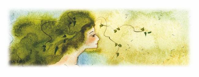 Все о феях - _39.jpg